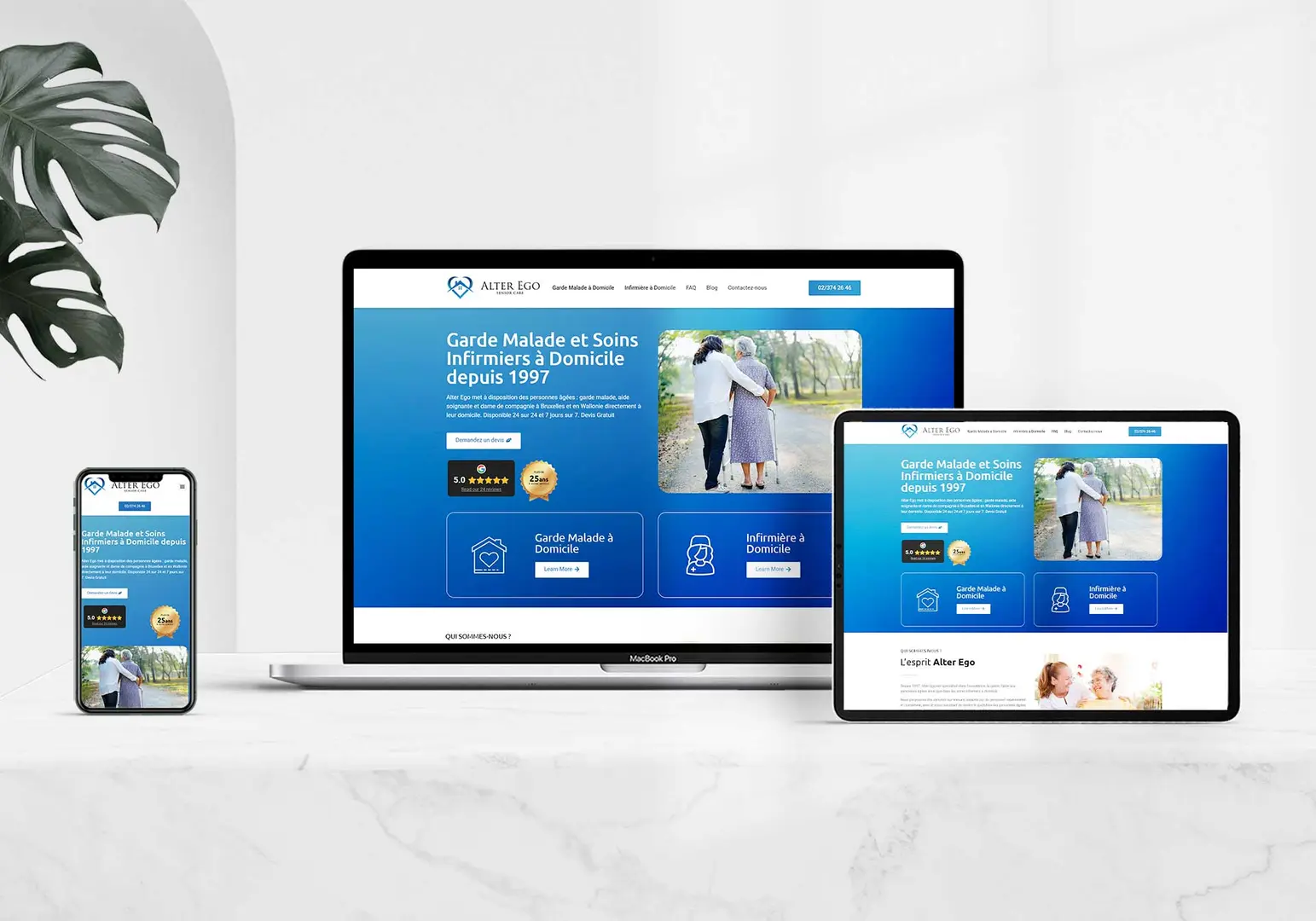 Alter Ego à Domicile: From SEO Frustration to Market Domination - 2 of Top 3 Google Positions